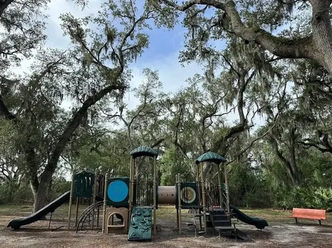 14304 Parkside Ridge Way Lithia FL 33547