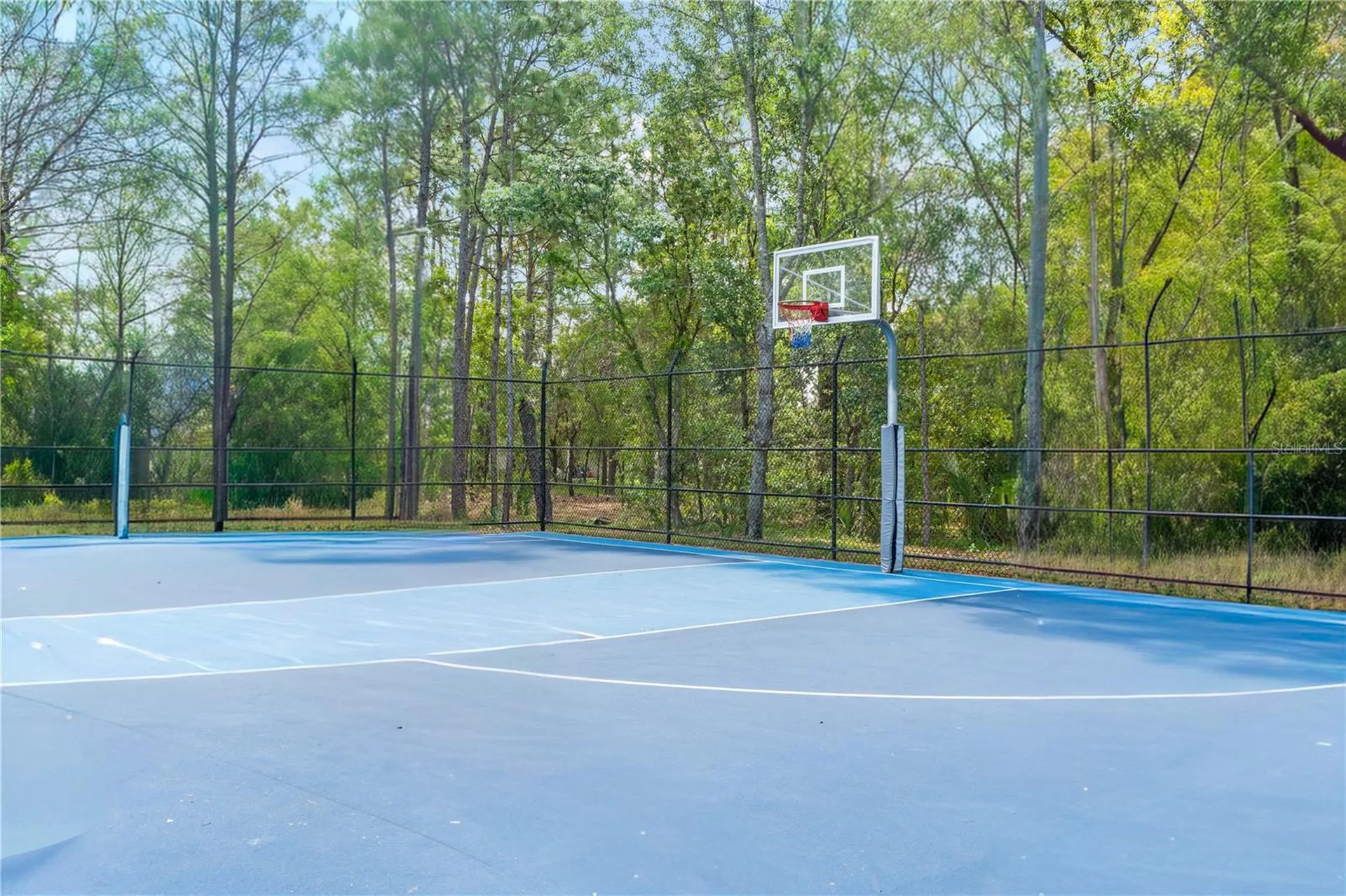 5683 Brackenwood Drive Spring Hill FL 34609