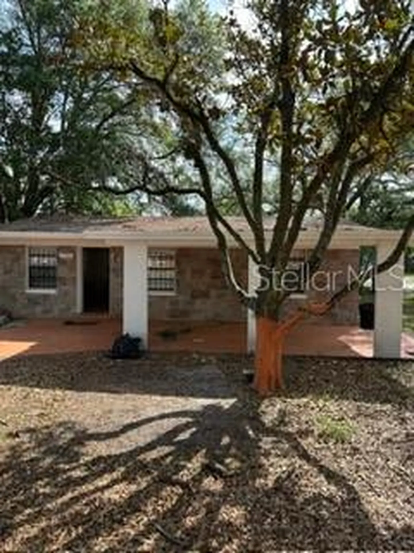 7731 Udine Avenue Orlando FL 32819