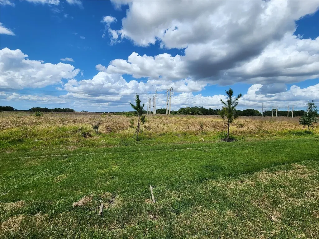 11434 Gallatin Trail Parrish FL 34219