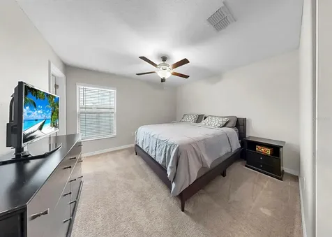 16568 Delia Street Wimauma FL 33598
