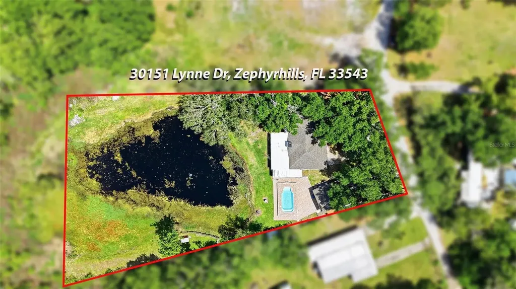 30151 Lynne Drive Wesley Chapel FL 33543