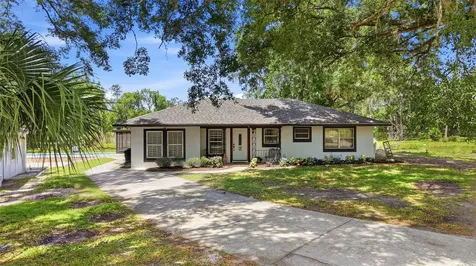 30151 Lynne Drive Wesley Chapel FL 33543
