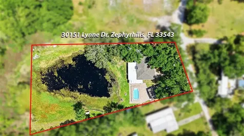 30151 Lynne Drive Wesley Chapel FL 33543