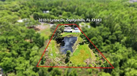 30151 Lynne Drive Wesley Chapel FL 33543