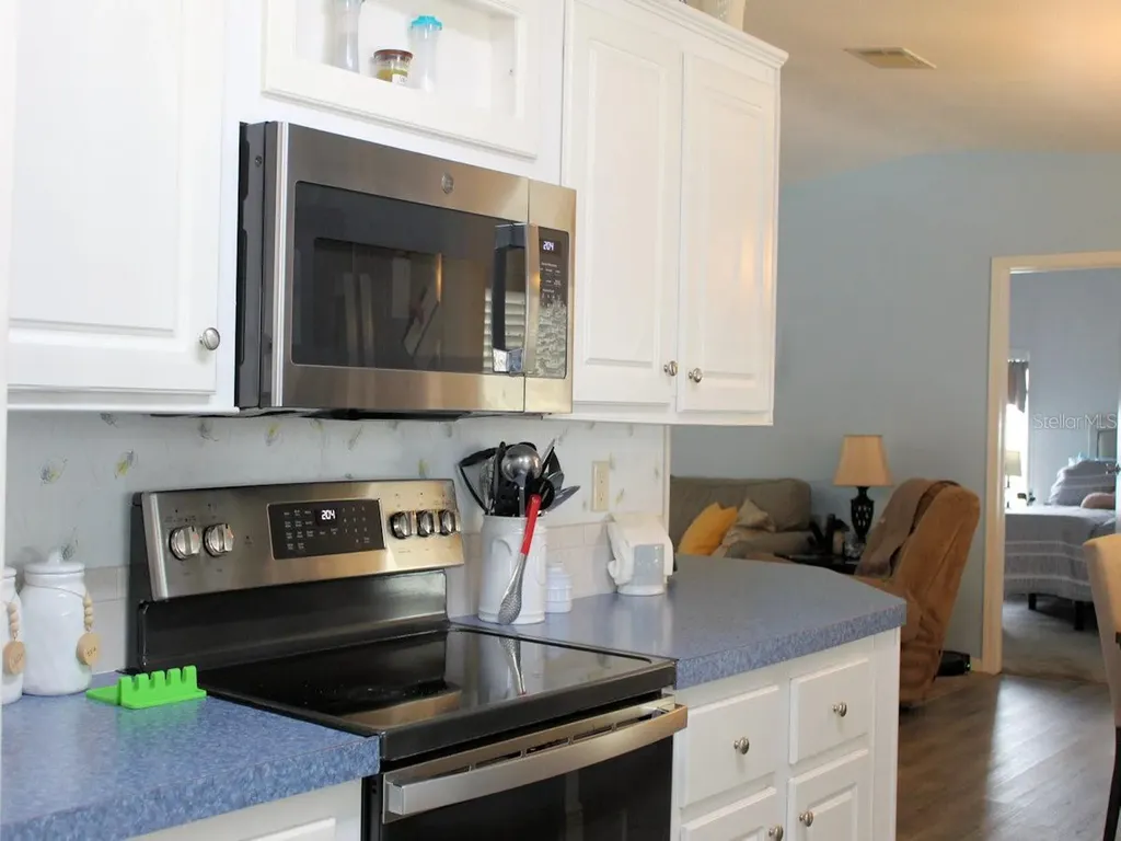 64 Thatch Palm Street W Largo FL 33770