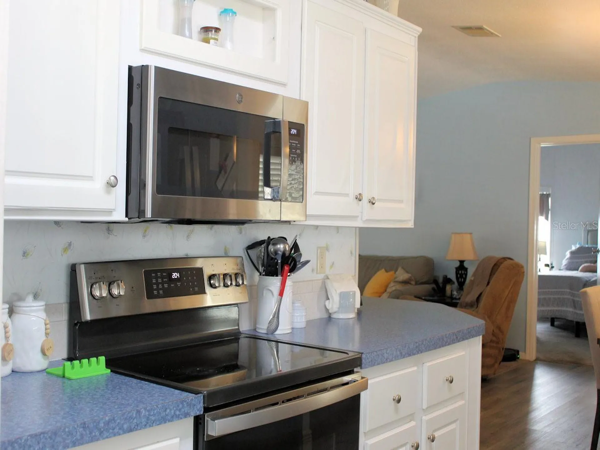 64 Thatch Palm Street W Largo FL 33770