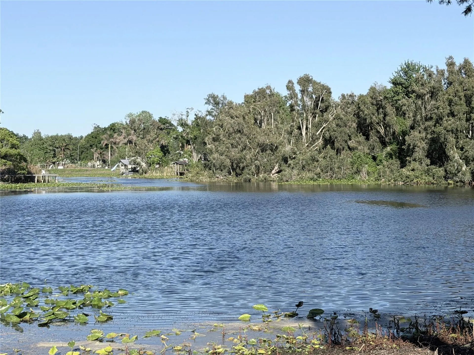 11505 N Rome Avenue Tampa FL 33612