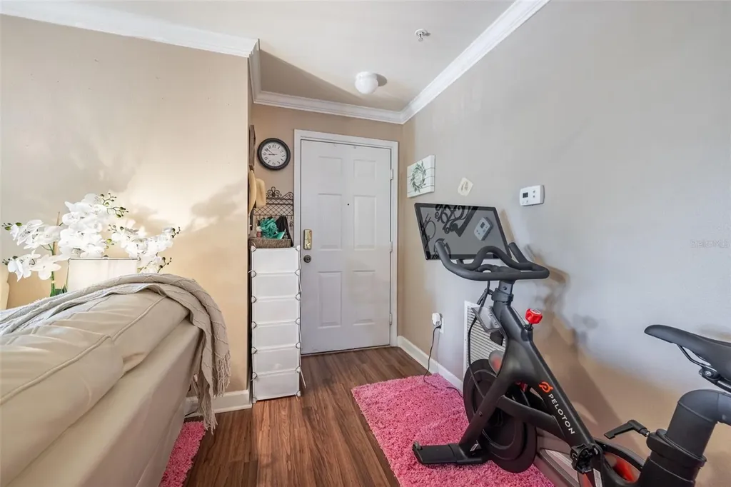 18439 Bridle Club Drive Tampa FL 33647