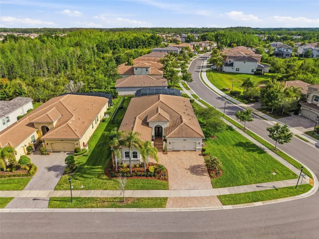 2420 Coco Palm Circle Wesley Chapel FL 33543