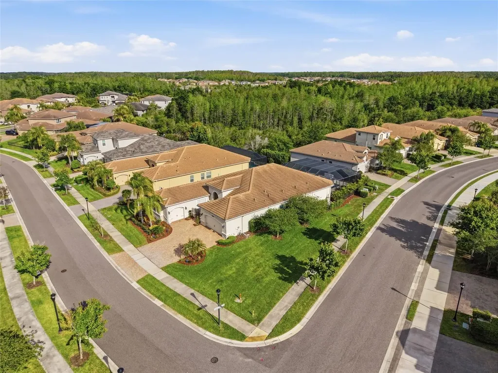 2420 Coco Palm Circle Wesley Chapel FL 33543
