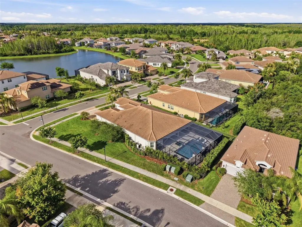 2420 Coco Palm Circle Wesley Chapel FL 33543