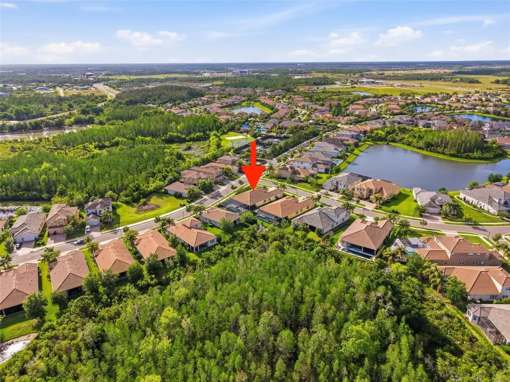 2420 Coco Palm Circle Wesley Chapel FL 33543