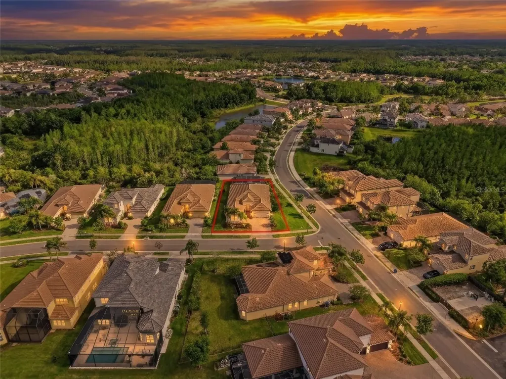 2420 Coco Palm Circle Wesley Chapel FL 33543