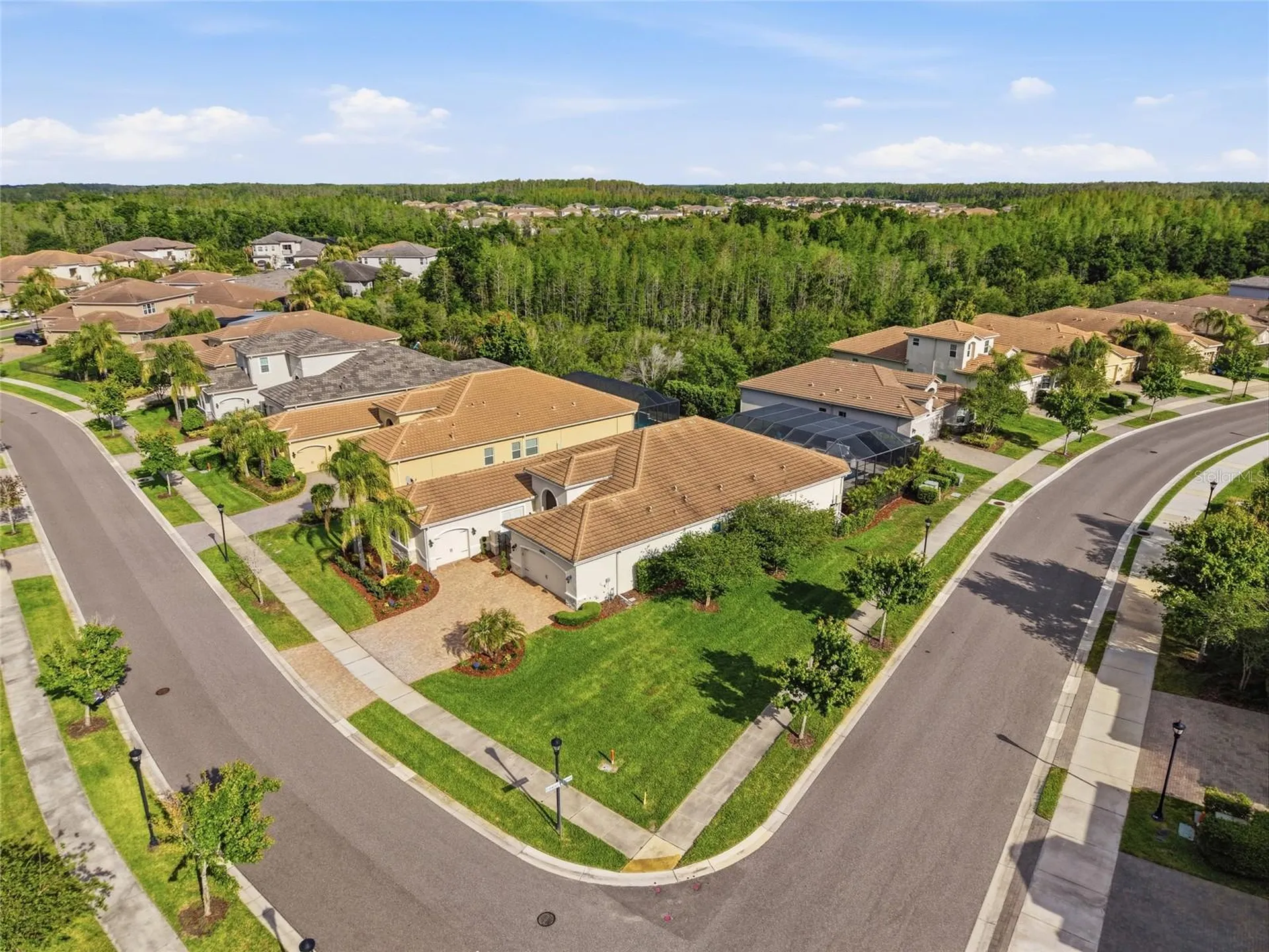 2420 Coco Palm Circle Wesley Chapel FL 33543