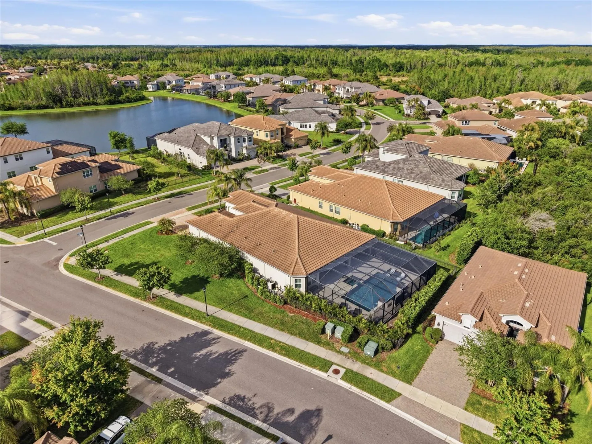 2420 Coco Palm Circle Wesley Chapel FL 33543