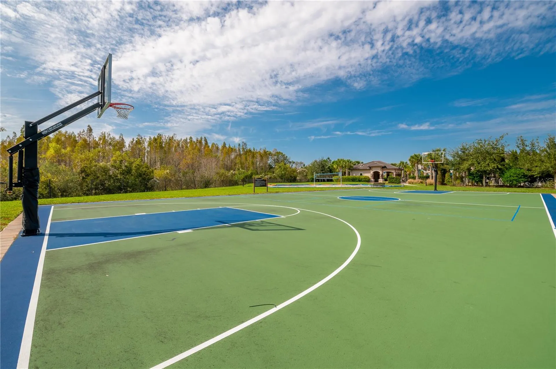 2420 Coco Palm Circle Wesley Chapel FL 33543