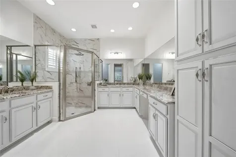 2420 Coco Palm Circle Wesley Chapel FL 33543