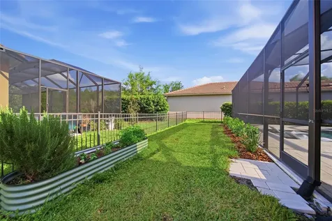 2420 Coco Palm Circle Wesley Chapel FL 33543