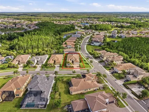 2420 Coco Palm Circle Wesley Chapel FL 33543