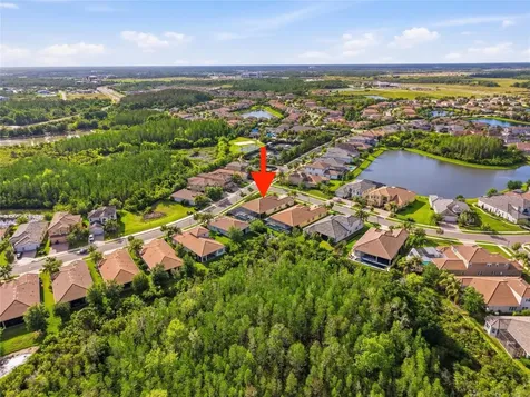 2420 Coco Palm Circle Wesley Chapel FL 33543