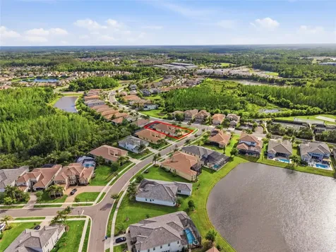 2420 Coco Palm Circle Wesley Chapel FL 33543
