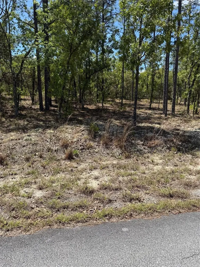 Lot# 8 SW Mineola Lane Dunnellon FL 34431