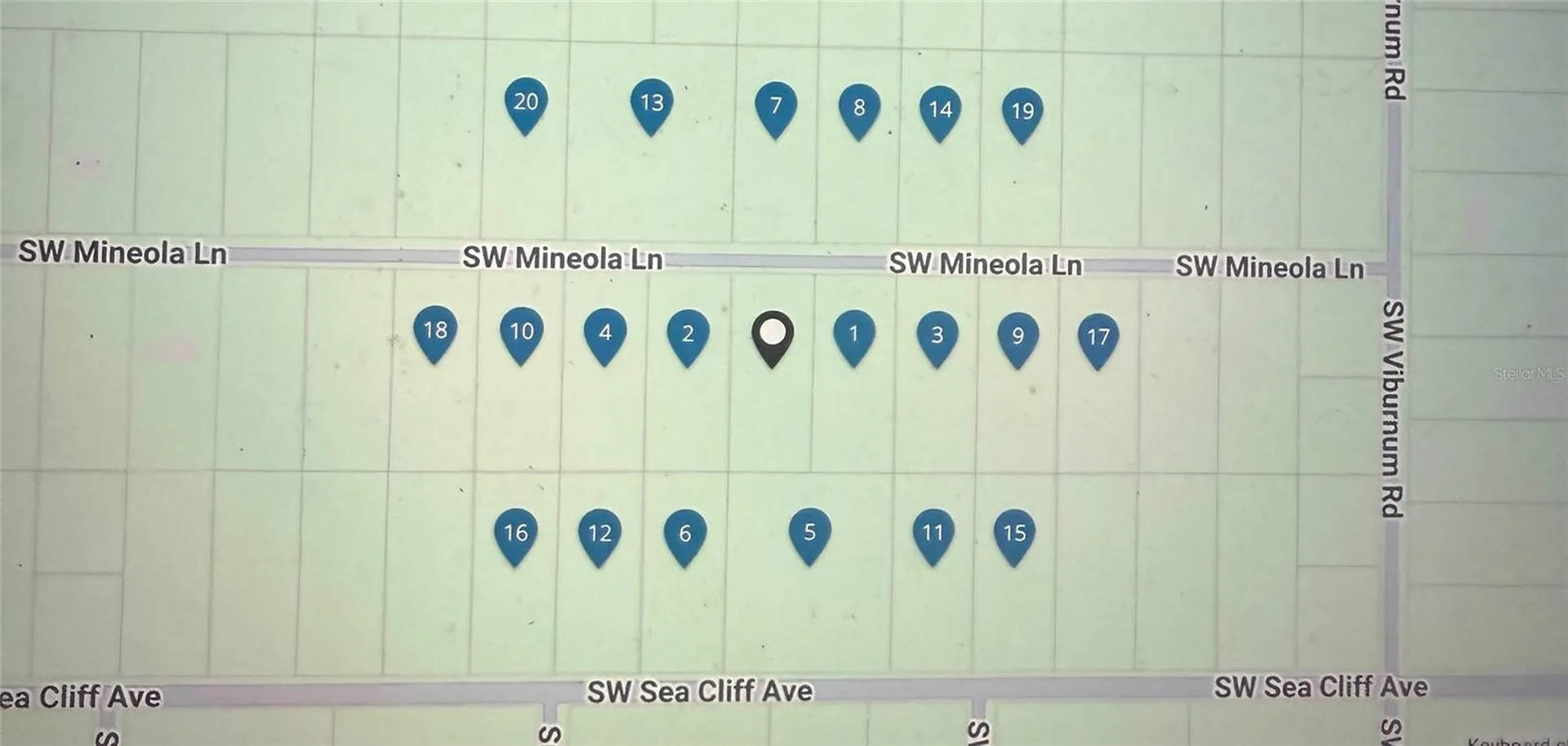 Lot# 8 SW Mineola Lane Dunnellon FL 34431