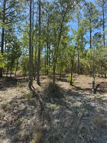 Lot# 8 SW Mineola Lane Dunnellon FL 34431