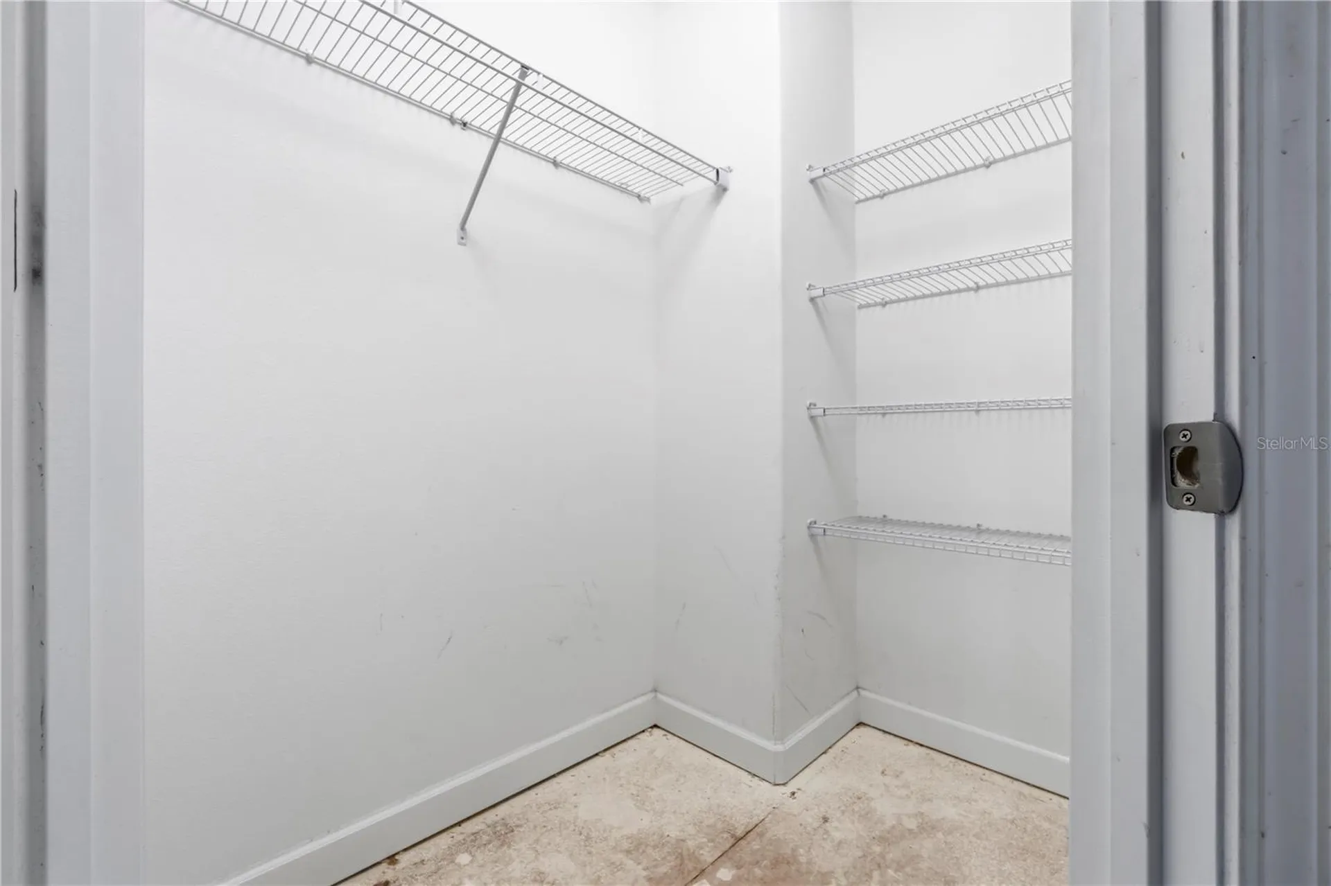1588 Ludington Avenue Wesley Chapel FL 33543