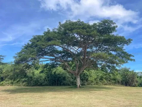 37 Hideaway Lane Vieques PR 00765