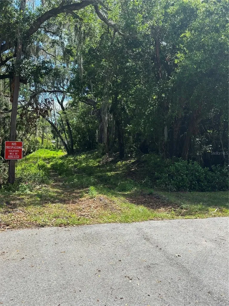 0 Brooks Street New Smyrna Beach FL 32168