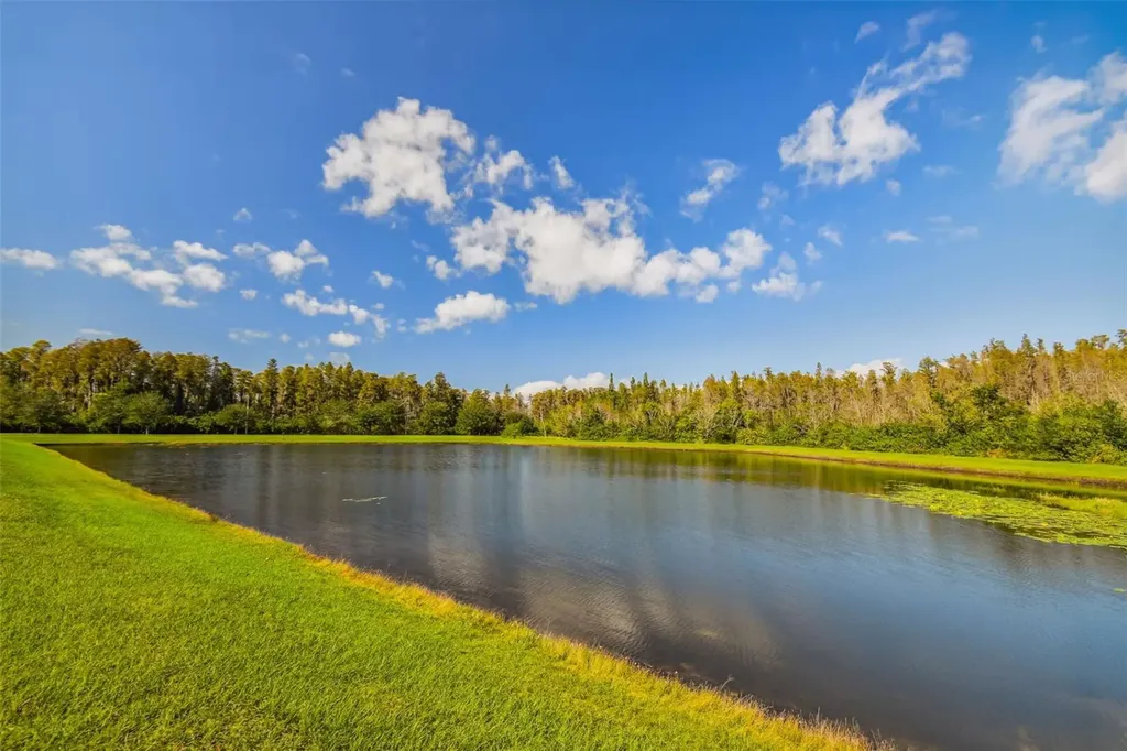 19413 Sweet Grass Way Lutz FL 33558