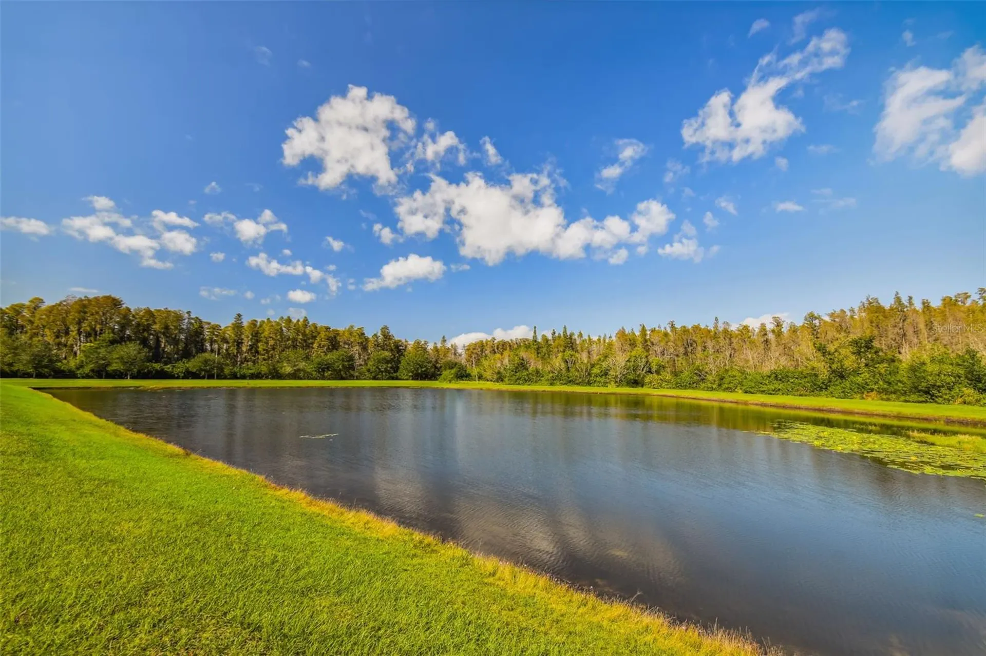 19413 Sweet Grass Way Lutz FL 33558