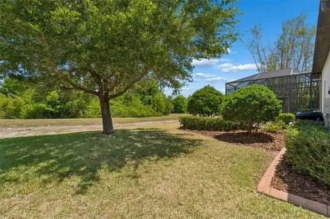 19413 Sweet Grass Way Lutz FL 33558