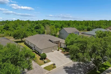 19413 Sweet Grass Way Lutz FL 33558