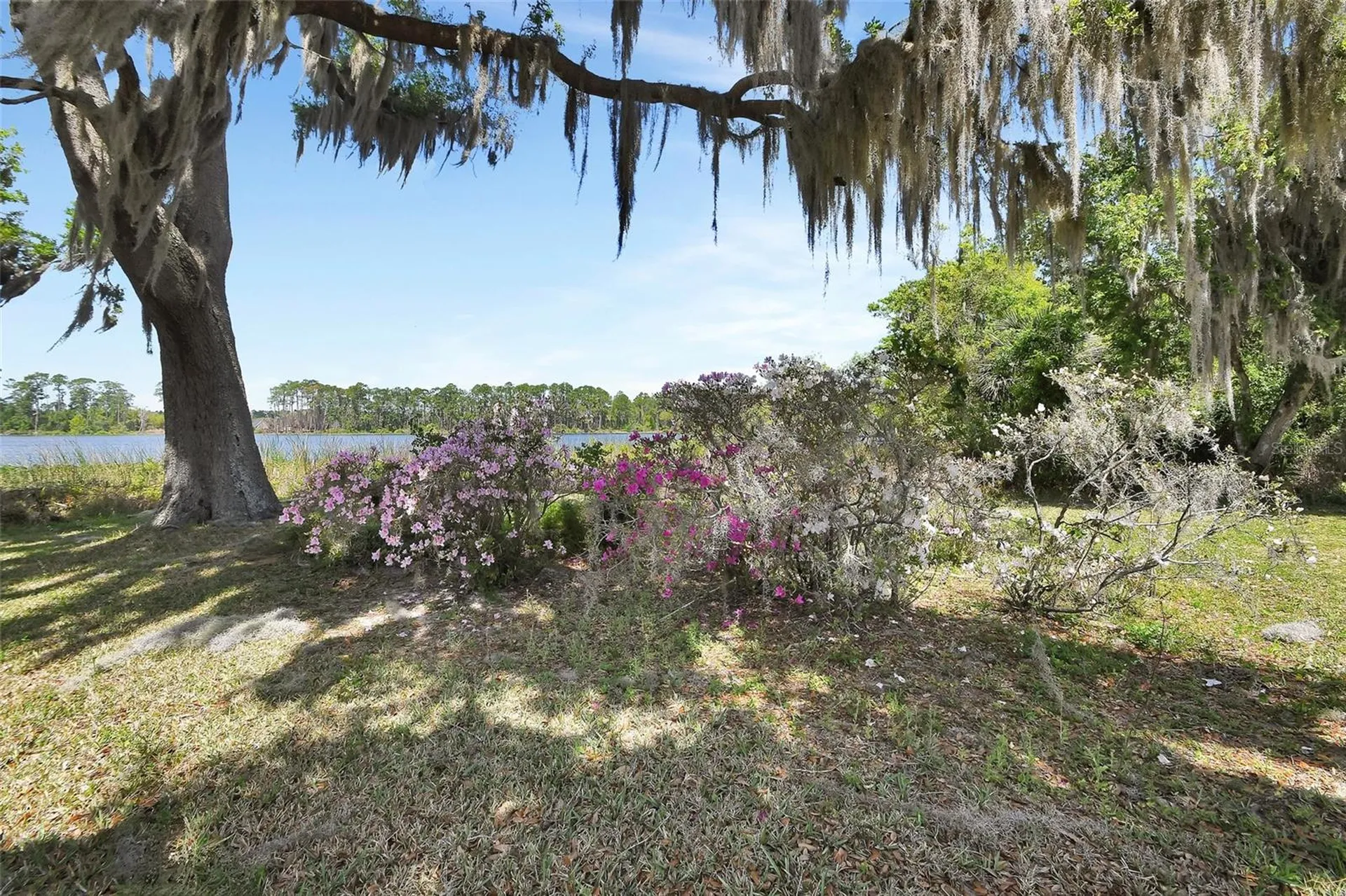 5268 State Road 11 De Leon Springs FL 32130