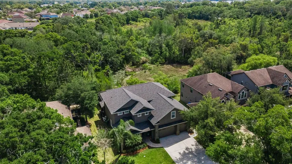 14915 Smitter Reserve Drive Tampa FL 33618