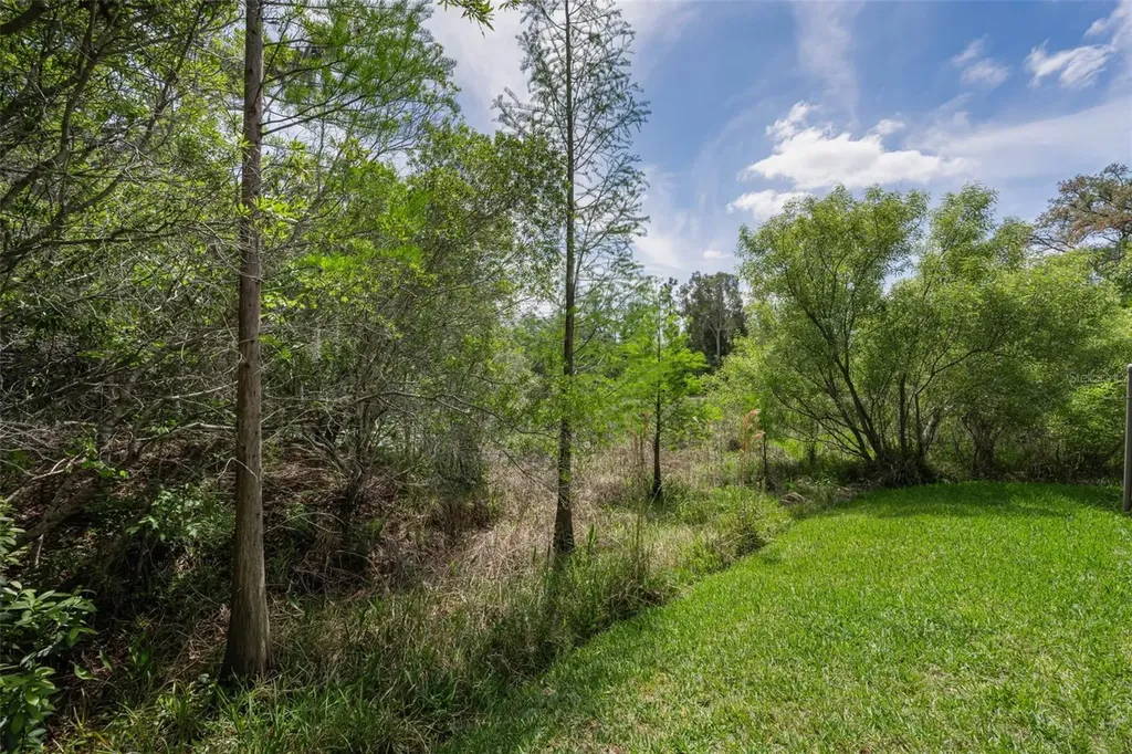 14915 Smitter Reserve Drive Tampa FL 33618