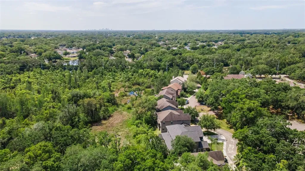 14915 Smitter Reserve Drive Tampa FL 33618