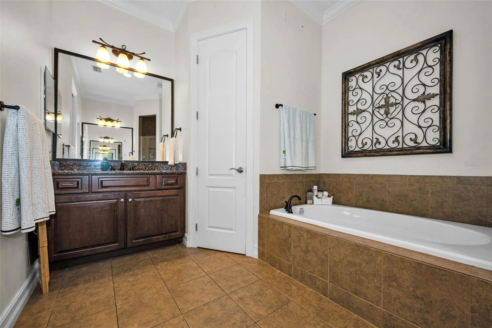 14915 Smitter Reserve Drive Tampa FL 33618