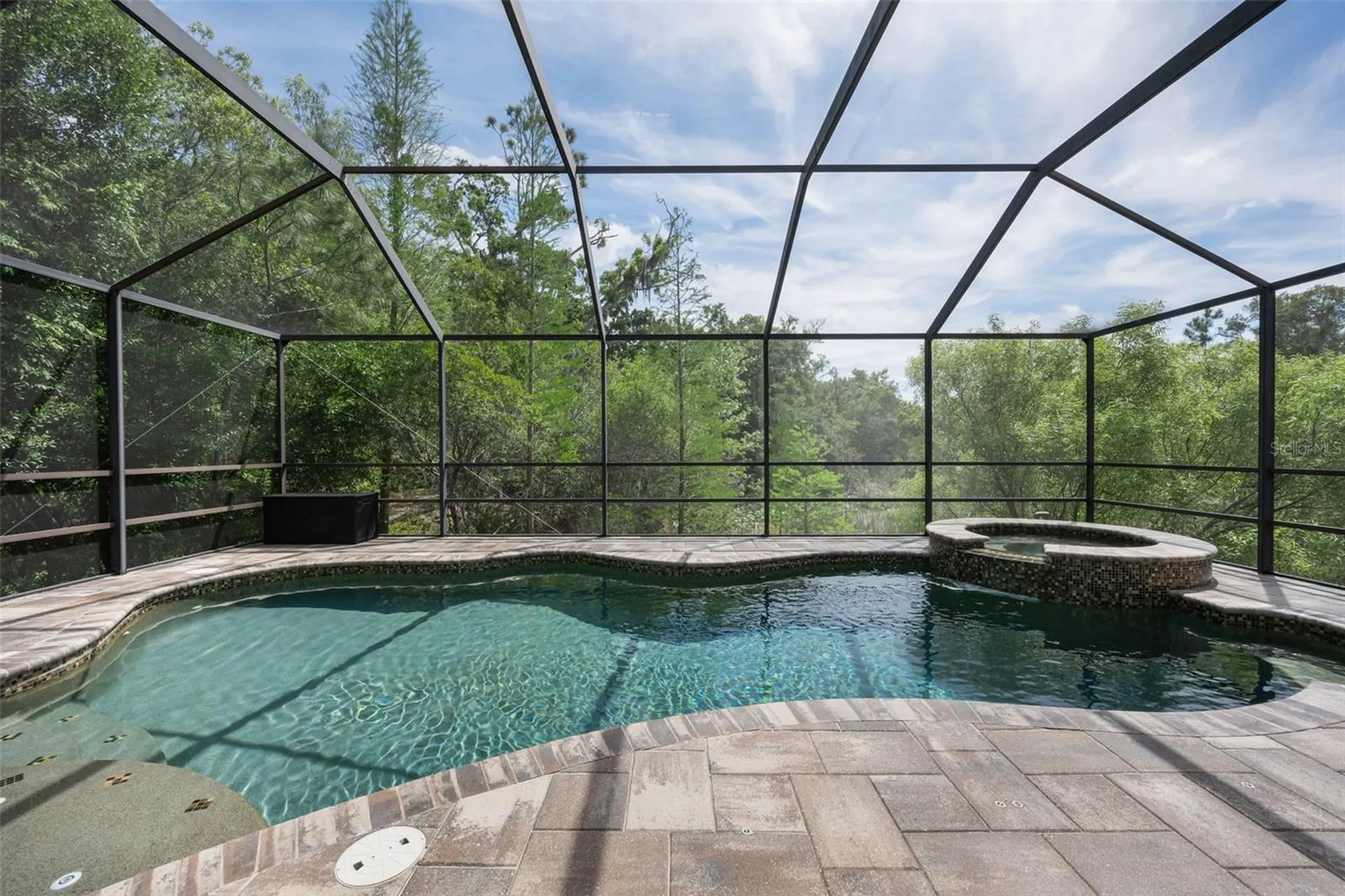 14915 Smitter Reserve Drive Tampa FL 33618
