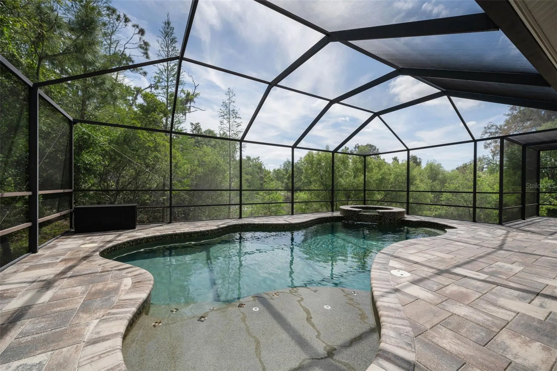 14915 Smitter Reserve Drive Tampa FL 33618