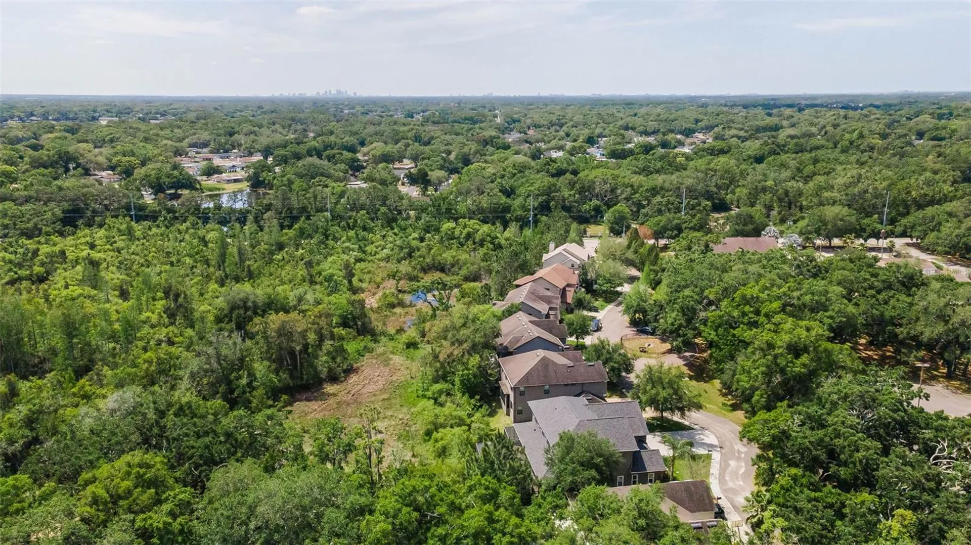 14915 Smitter Reserve Drive Tampa FL 33618
