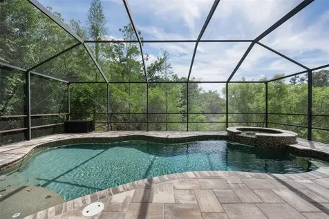 14915 Smitter Reserve Drive Tampa FL 33618