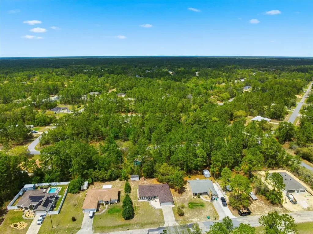 3339 W Eldridge Drive Citrus Springs FL 34433