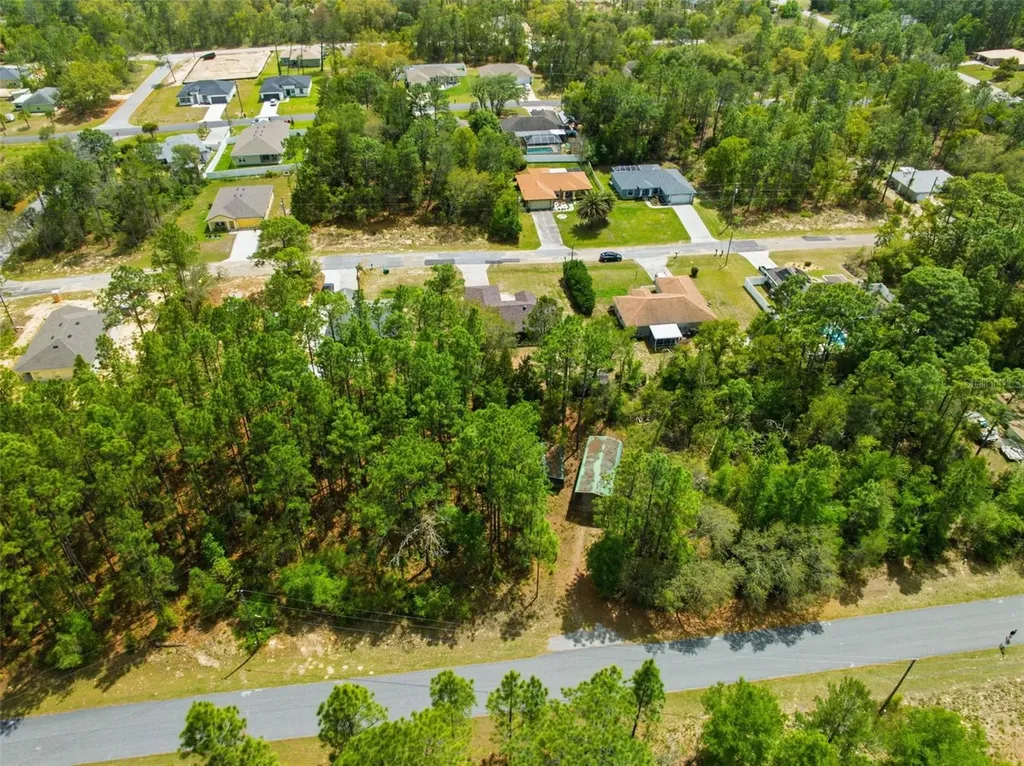 3339 W Eldridge Drive Citrus Springs FL 34433