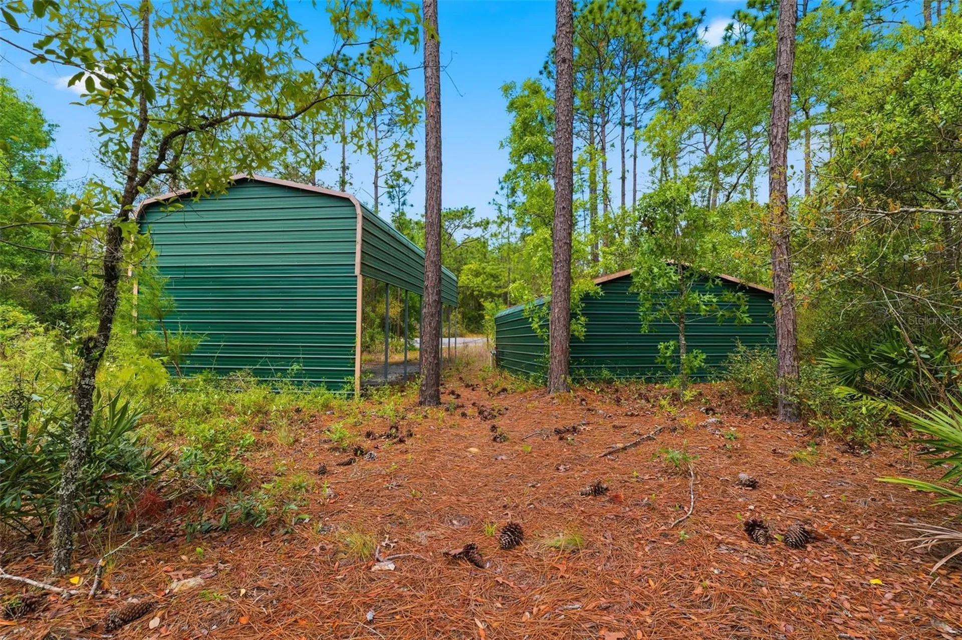 3339 W Eldridge Drive Citrus Springs FL 34433