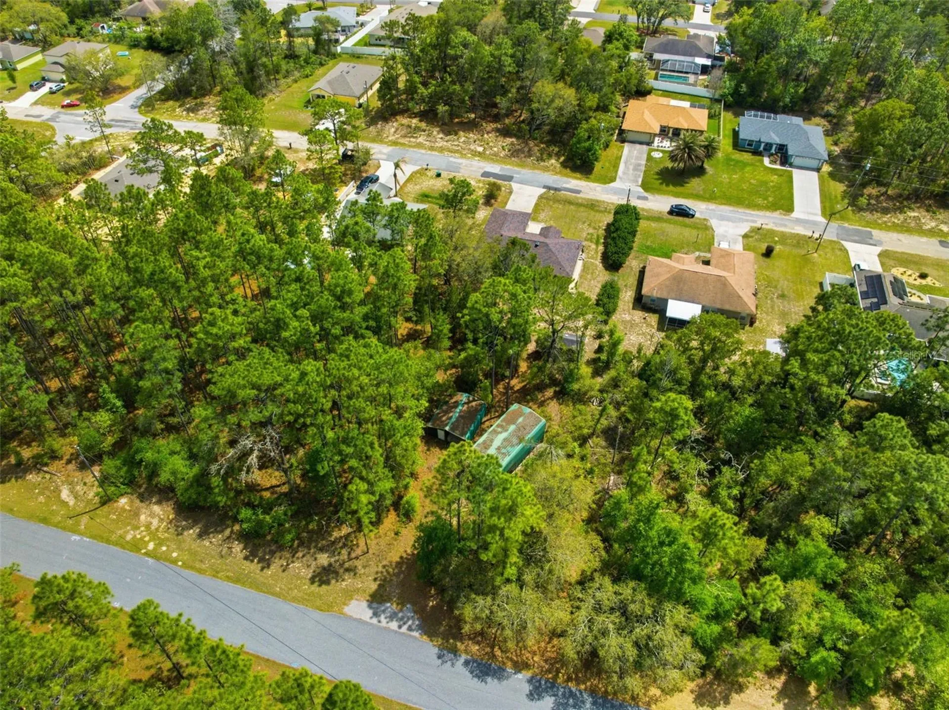 3339 W Eldridge Drive Citrus Springs FL 34433