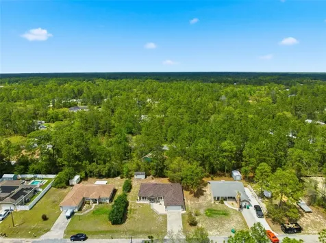 3339 W Eldridge Drive Citrus Springs FL 34433